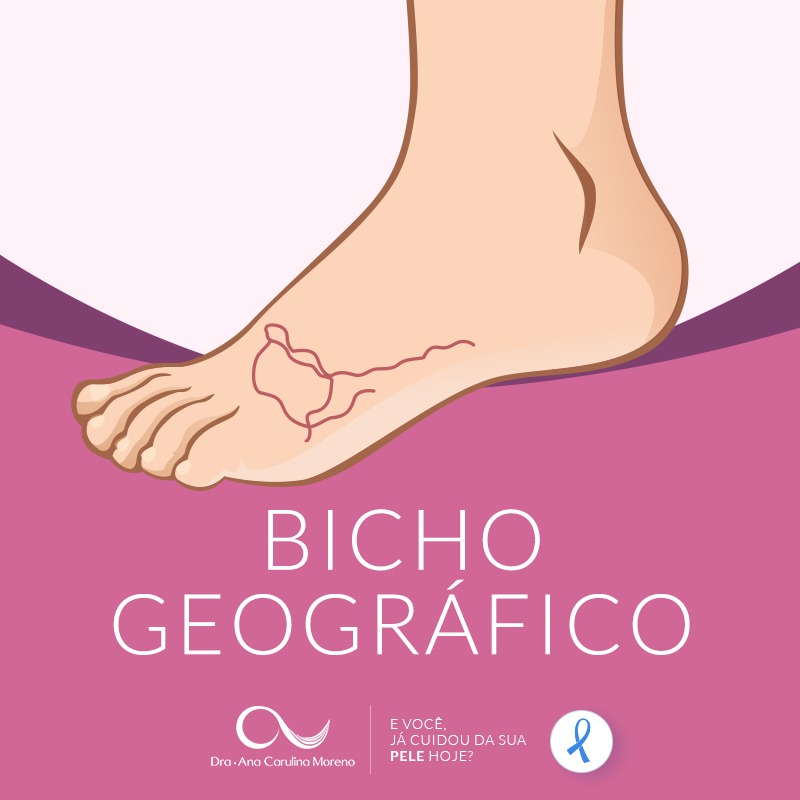 bicho geográfico